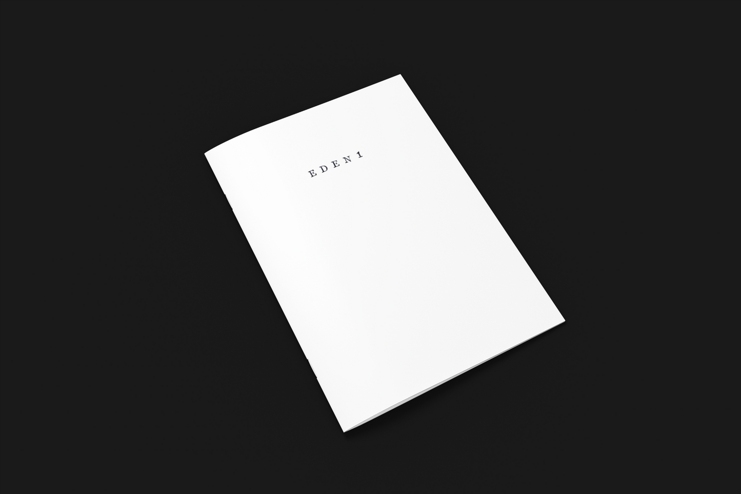 EDEN1 ART ZINE